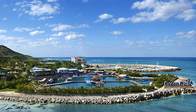 beautiful_harbour_view