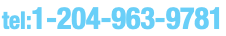 tel:1-204-963-9781